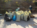 Над 15 тона отпадъци бяха събрани в Плевен на 14 септември