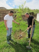 Басейнова дирекция за управление на водите Дунавски район с център гр. Плевен се включи в инициативата „Да засадим дърво”