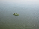 Басейнова дирекция за управление на водите Дунавски район отбеляза 29 юни 2012 г. - Деня на река Дунав