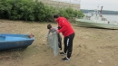 БДДР се включи в почистването на крайбрежието на Дунав в Лом, Байкал, Свищов и Русе
