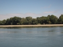 „Дунав – живата река”